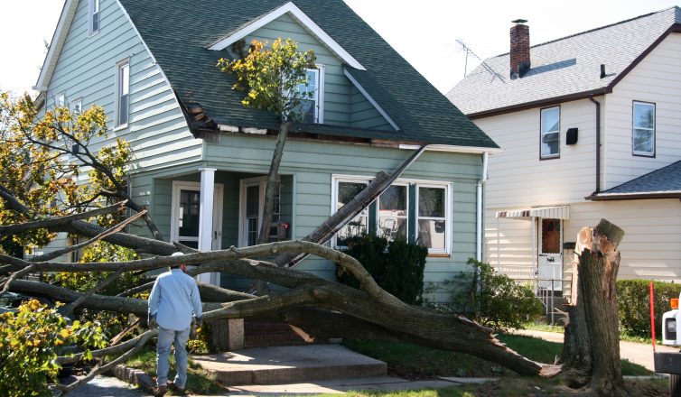 storm-debris-removal