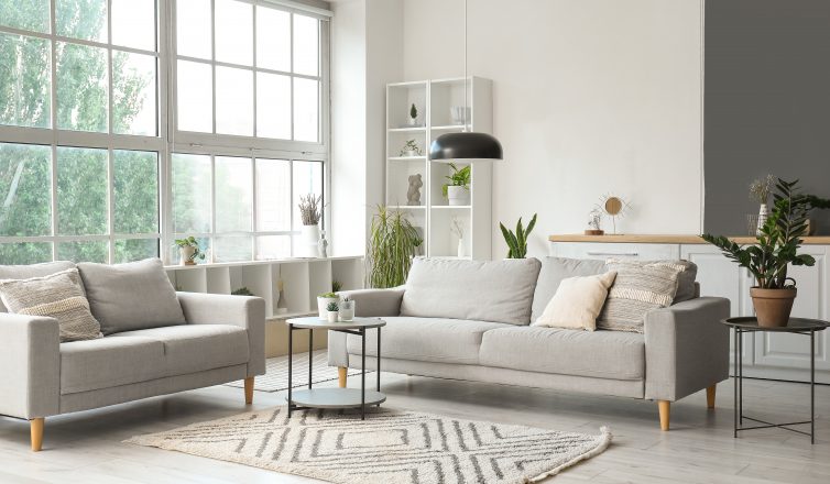 junk removed for Minimalist lifestyle