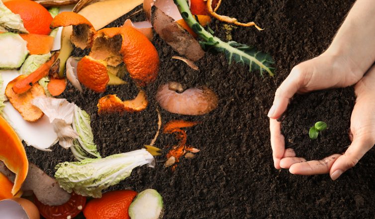 celebrate international zero waste day with creating a compost